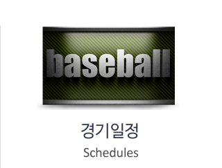 경기일정